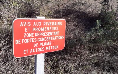Lettre d’informations juillet 2024