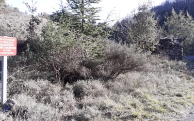Réunion publique à Durfort le 10/10/24 à 19h