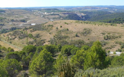 Salsigne : préjudices écologique et moral reconnus